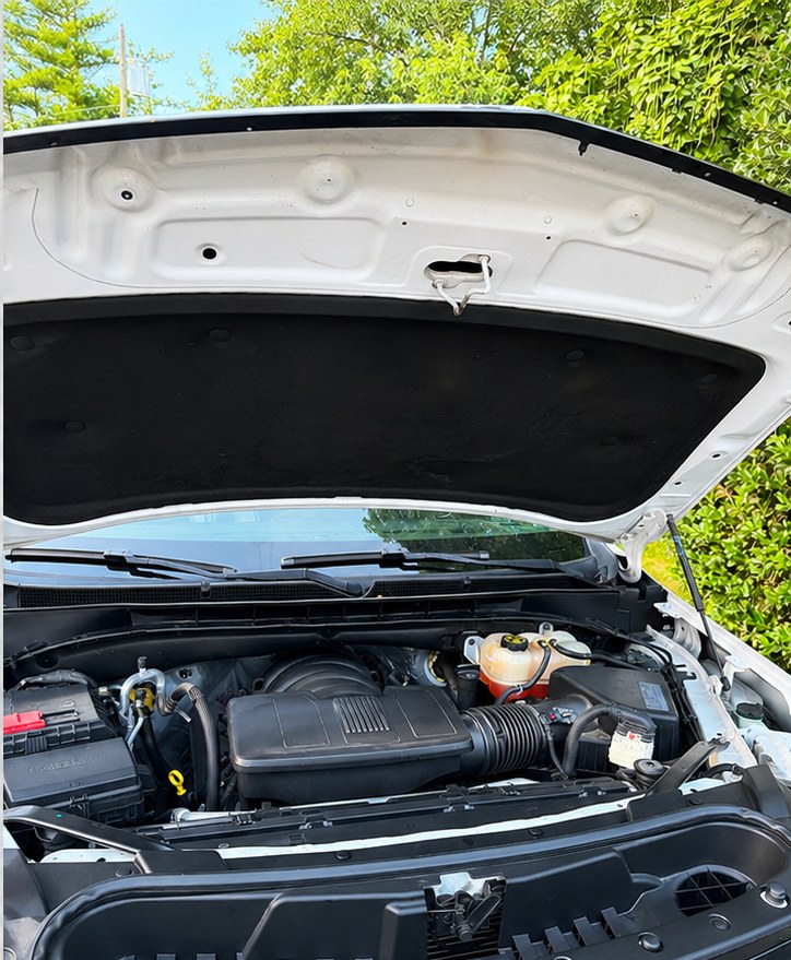Engine bay before and after cleaning — after detailing